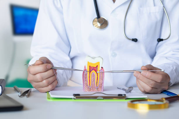 Best Emergency Root Canal Therapy in Finneytown, OH